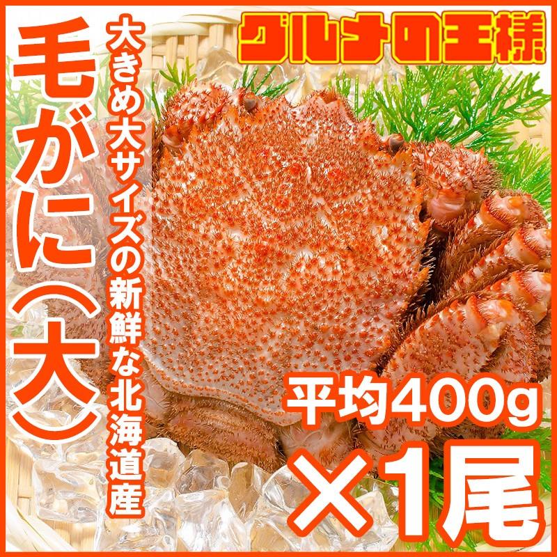 毛ガニ 毛がに 毛蟹 浜茹で 毛ガニ姿 平均 400g ×1尾 かに カニ 蟹 かに鍋 焼きガニ 単品おせち 海鮮おせち