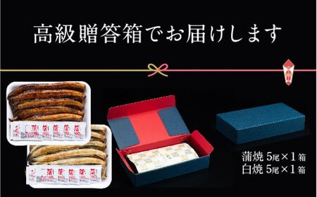 浜名湖産 朝じめ鰻 溶岩焼きコンビセット 約140g×10尾（蒲焼き 5尾・白焼き 5尾）