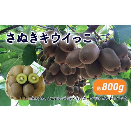 ふるさと納税 さぬきキウイっこ　約800g_キウイフルーツ 香川県綾川町