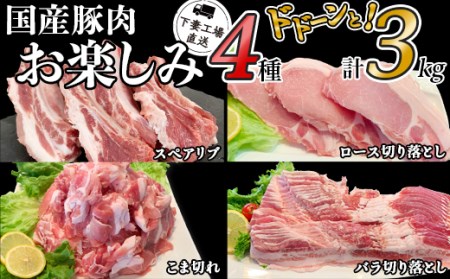 57-23国産豚肉お楽しみ4種セット3kg（小分け真空包装）