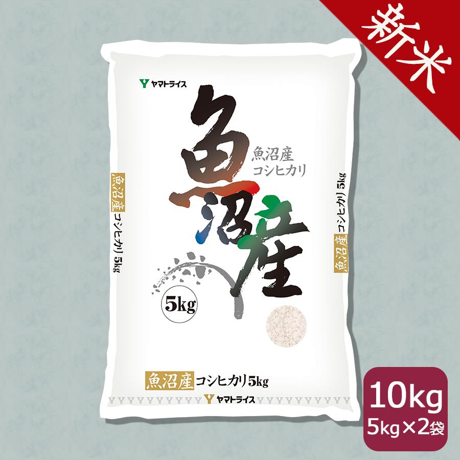 米 お米 魚沼 10kg コシヒカリ 新潟県産 5kg×2 令和5年産 白米