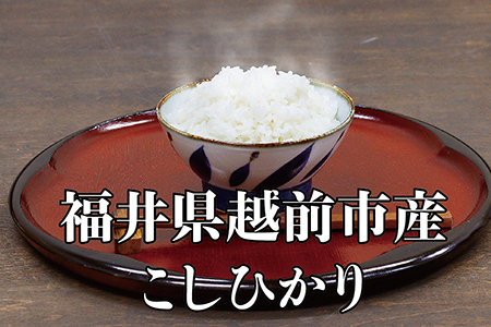 令和5年度産新米 こしひかり 6㎏