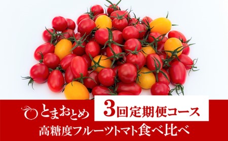 栃木県鹿沼産 高糖度 フルーツトマト ”とまおとめ”  食べ比べ  1kg×3回 お届け 定期便 野菜 トマト フルーツトマト 食べ比べ 3kg お届け：2024年1月中旬～5月下旬