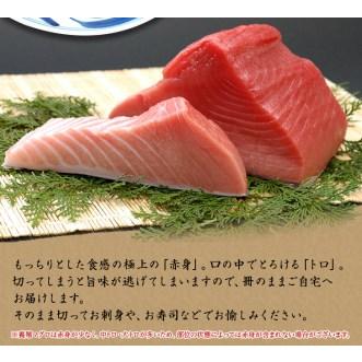 ふるさと納税 本マグロ（養殖）トロ＆赤身セット 3kg 高級 クロマグロ  中トロ 中とろ まぐろ マグロ 鮪 刺身 赤身 柵 じゃばら.. 和歌山県すさみ町