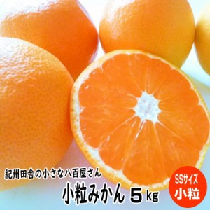 温州みかん 小粒 SS(2S)サイズ 5kg 和歌山産 送料無料 濃厚小玉みかん