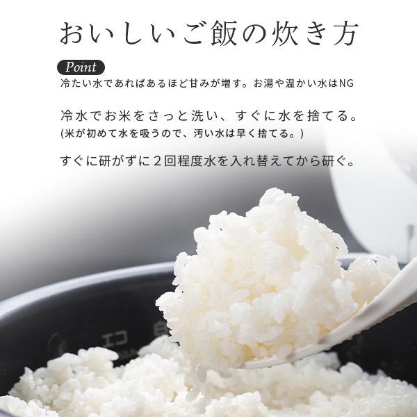 新米 20kg コシヒカリ 新潟 令和5年 米 20kg 送料無料 あすつく 美味しい お米 5Kg×4 20キロ 新潟県産 こしひかり 産直 白米 おいしい お米