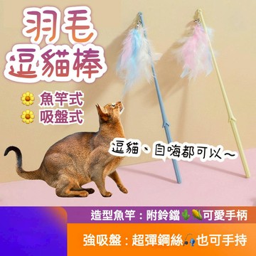 【現貨】多款造型逗貓棒 逗貓棒 貓咪玩具 寵物玩具 寵物用品 羽毛逗猫棒 逗貓桿 可拆式逗貓棒 逗猫神器 貓玩具 逗貓