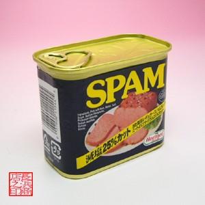 SPAMスパムどちらかご指定ください1ケース（340ｇ×24個）ご飯のお供 お取り寄せ