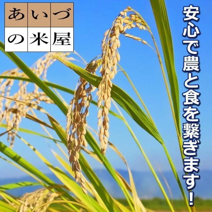 米 お試し米 800g 白米 ５年産新米 会津米 コシヒカリ 一等米使用  送料無料 ふくしまプライド。体感キャンペーン（お米）（お届け日時指定不可）