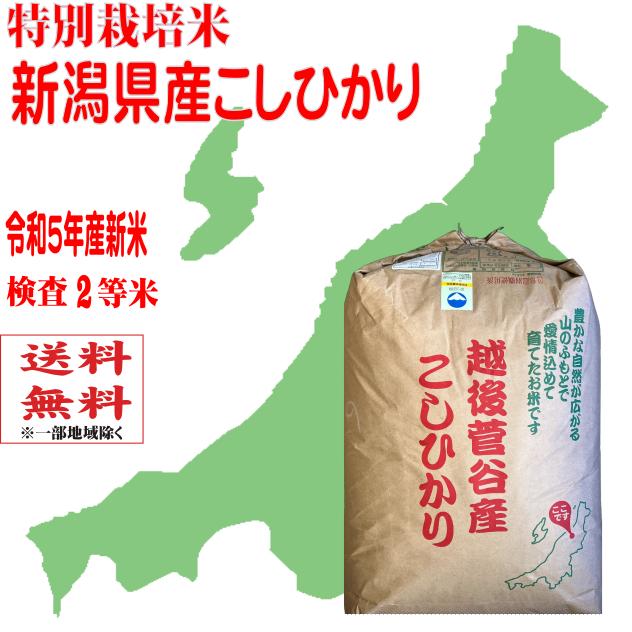 玄米30kg 　令和５年産新米　特別栽培米新潟こしひかり