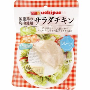 サラダチキン プレーン(100ｇ)[インスタント食品 その他]