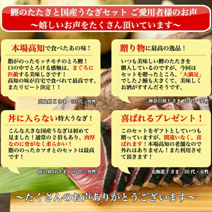 土佐久礼 藁焼き鰹たたきセット（国産うなぎ1 2・うつぼのたたき  ギフト