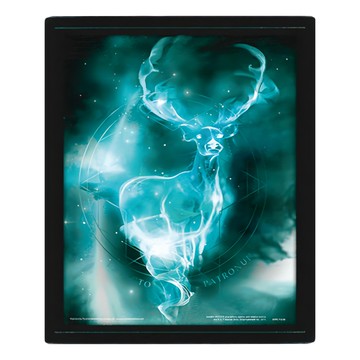 Harry Potter 哈利波特 3D海報 含框 25.4 x 3 x 25.4cm 疾疾 護法現身  疾疾 護法現身