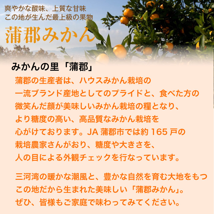 [予約 11月25日-12月31日の納品]   箱入娘 蒲郡みかん 約5kg 愛知県蒲郡産 最高等級みかん 箱入り娘みかん 高品位　冬ギフト お歳暮 御歳暮