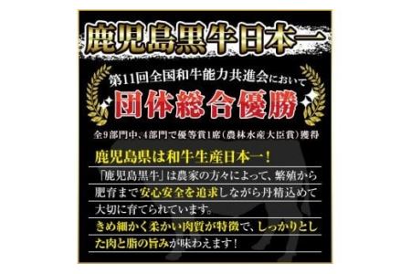 No.347 ＜肉質等級5等級＞(E-301)鹿児島黒牛サーロインステーキ2枚・すきやきセット(計1kg)