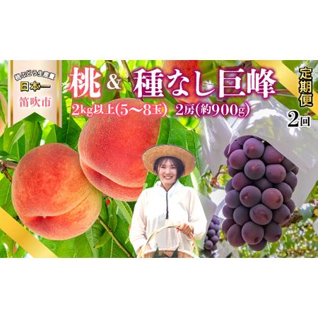 ふるさと納税 ＜2024年先行予約＞旬の桃 種無し巨峰 2回送り 180-009 山梨県笛吹市