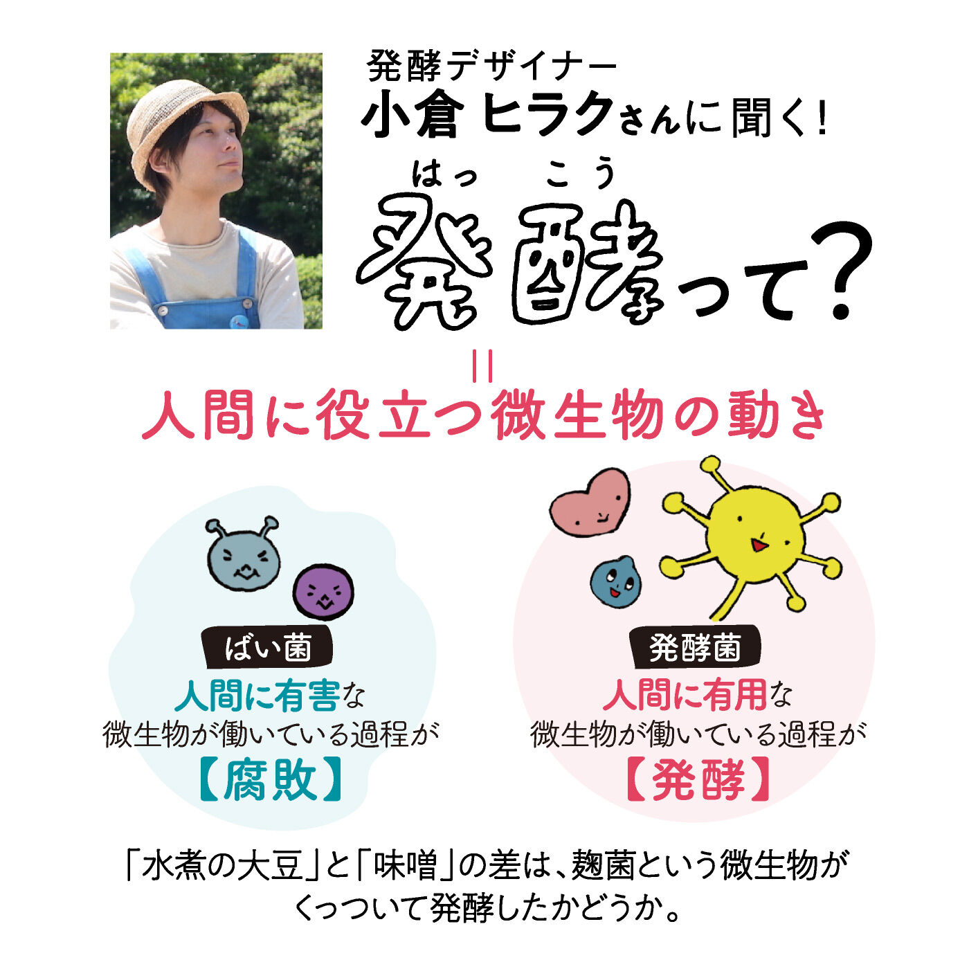 発酵食品をかしこく使いこなす めちゃ旨！ 発酵晩ごはんレッスンプログラム［6回予約プログラム］ フェリシモ FELISSIMO