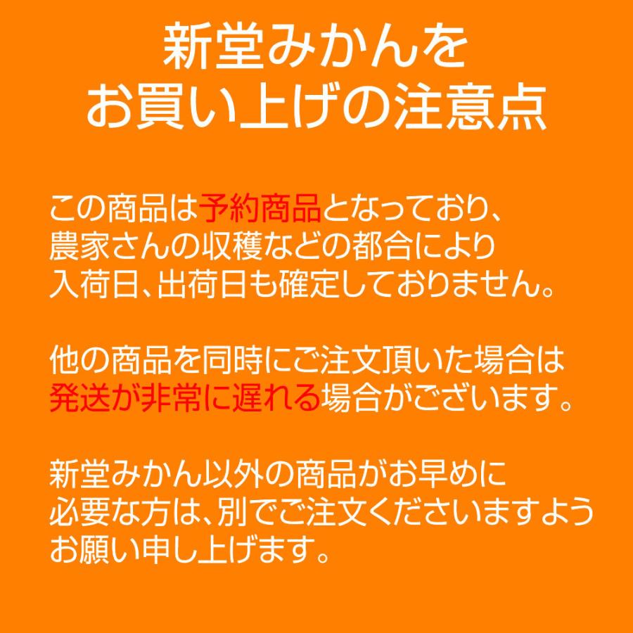 『有田の新堂みかん』早生 S〜M〜L混同3kg 蜜柑 紀州 和歌山 有田 人気 おすすめ