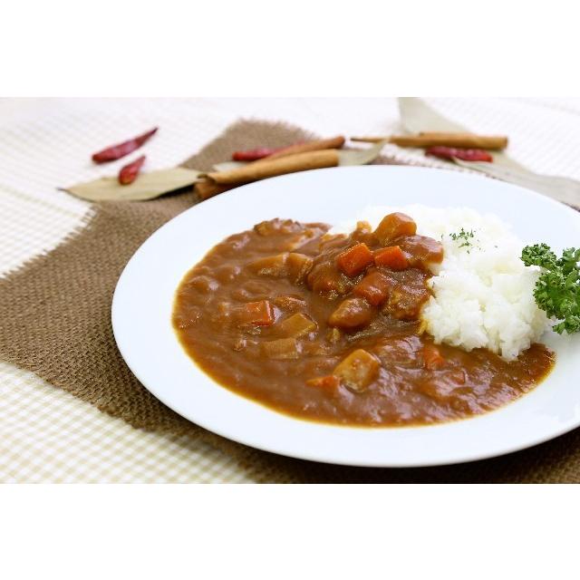 ビンゴソース カレー 甘口 ５箱  (１箱１８５ｇ) 送料無料 瀬戸内ブランド 瀬戸のもち豚 せと姫 使用 ご当地カレー 備後ソース