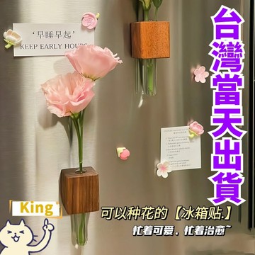 【台灣出貨】花瓶冰箱貼 磁吸養花冰箱貼 養花冰箱貼 養花磁鐵 實木冰箱貼 冰箱貼 磁吸冰箱貼 能養花的冰箱貼 3d立體磁