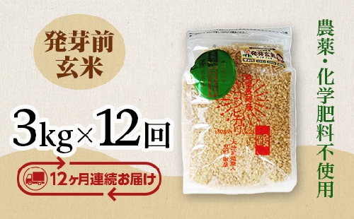 E1-29新潟県長岡産コシヒカリ 発芽前玄米 3kg