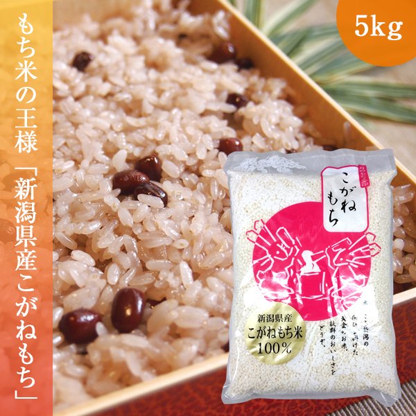 もち米 5kg こがねもち 令和5年産 お米 新潟県産 送料無料  (1kg×5袋)