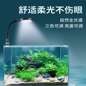P老闆水族~SOBO 松寶 迷你夾燈 LED燈 小型魚缸 小夾燈 USB照明省電 夾燈