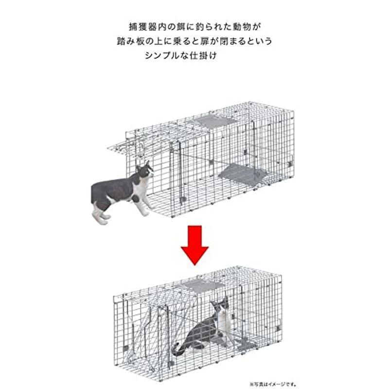 動物用捕獲器 猫 アニマルトラップ トラップ 駆除 捕獲 踏板式 捕獲機 動物 罠 保護 庭 農業 アニマルキャッチャー LB-201