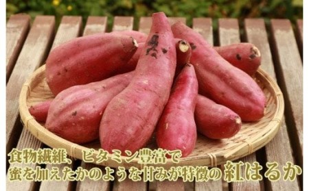 さつまいも3種(紅はるか・シルクスイート・安納芋)詰合せ10kg(らくと農園 013-1132)