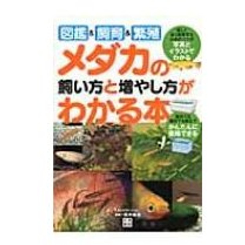 メダカの飼い方と増やし方がわかる本 図鑑 飼育 繁殖 青木崇浩 本 通販 Lineポイント最大0 5 Get Lineショッピング