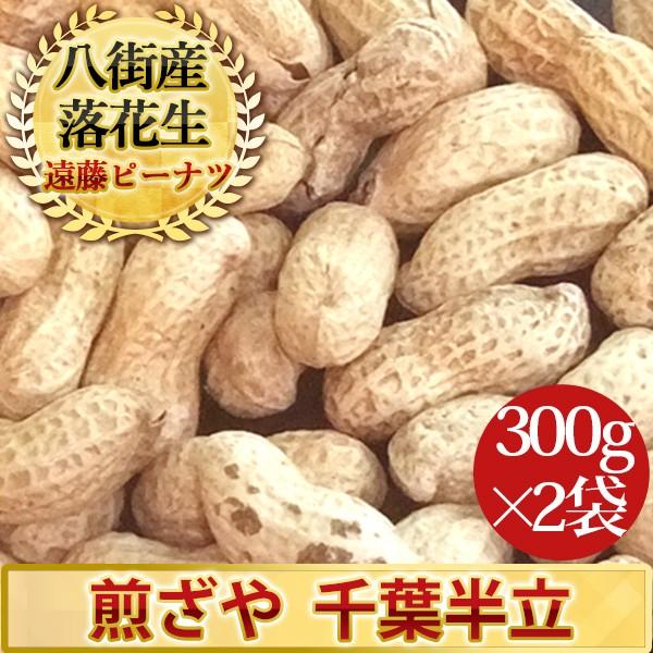 2023年度産 新豆 煎ざや（千葉半立）300g 2袋セット 千葉県産八街落花生