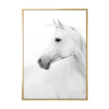 白馬實木內框 PS進口外框 高密度背板 防潮防蟲畫框  59.4 x 42cm  金色