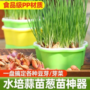 好物嚴選🎁新款懶人育苗盤家用保溫盤芽苗菜種植盤無土栽培小蔥苗大蒜水培盤CP