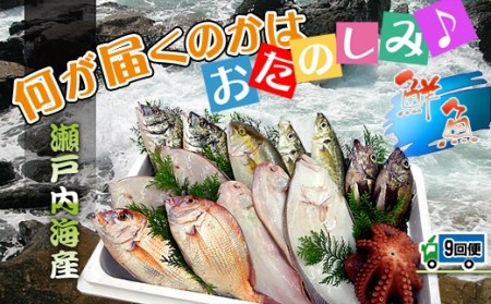 創業100年の魚屋さんが選び抜いた旨い鮮魚直送便～