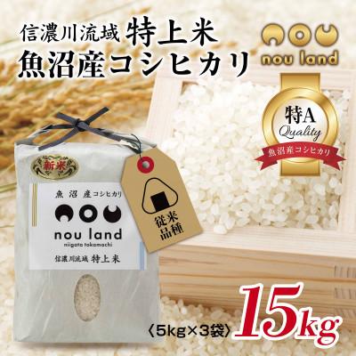 ふるさと納税 十日町市 農家直送 魚沼産 コシヒカリ 従来品種 5kg ×3袋 計15kg 新潟県 十日町市 のうランド