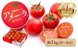 アメーラ トマト 約 1kg 12-16玉