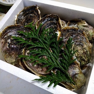 ふるさと納税 知夫村 知夫里島産　岩牡蠣　4kg