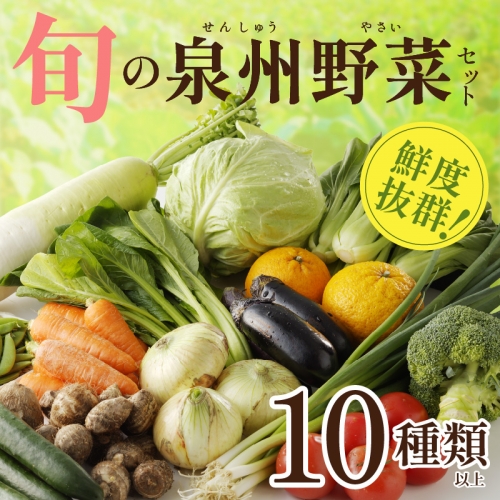 旬の野菜セット 詰め合わせ 10種類以上 国産 新鮮 お試し おまかせ お楽しみ 年内お届け