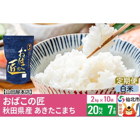 ふるさと納税 《定期便7ヶ月》令和5年産 仙北市産 おばこの匠 20kg×7回 計140kg 7か月 7ヵ月 7カ月 7ケ月 秋田こまち お米 秋田県.. 秋田県仙北市