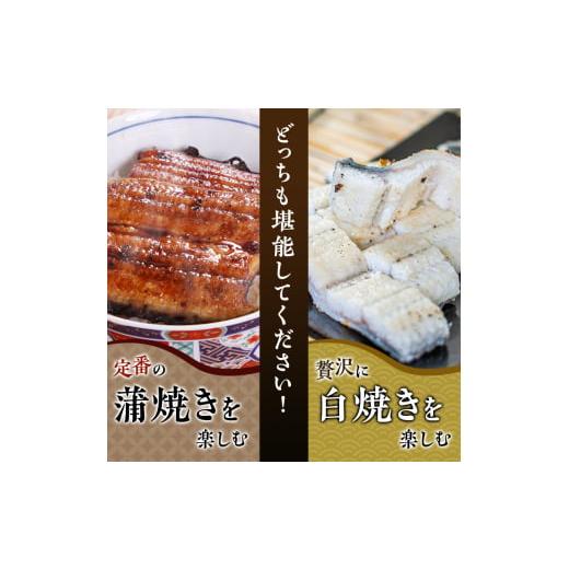 ふるさと納税 静岡県 湖西市 季節の焼きたて特撰うなぎ白焼き10尾