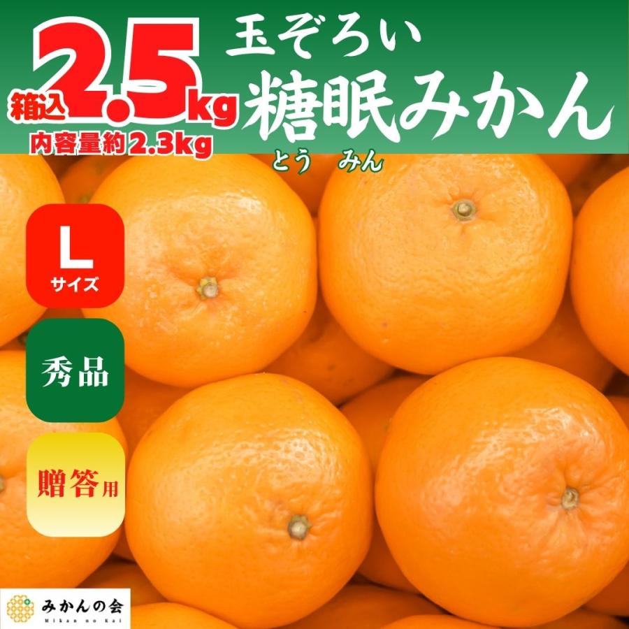 熟成 みかん 秀品 箱込 2.5kg 内容量 2.3kg Lサイズ 玉ぞろい 有田みかん 和歌山県産 産地直送 贈答用  