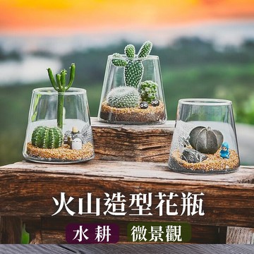 【百搭萬用瓶】生態瓶 花瓶 火山造型花器 多肉植物 仙人掌 室內植物 水耕植物 生態瓶 微景觀 花器 YES好生活
