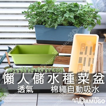 種菜盆 花盆 懶人花盆 長方形花盆 懶人盆栽 吸水花盆 長形花盆