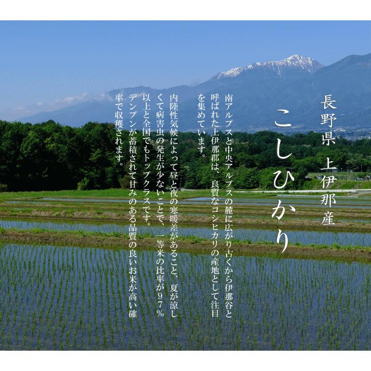 新米 令和５年産 長野県 上伊那産 こしひかり １等米 玄米 ３０kg