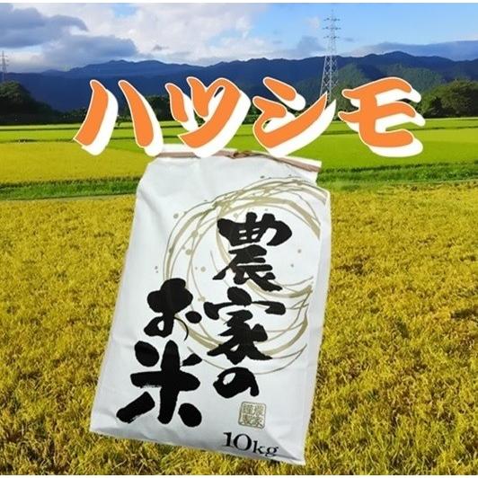 令和４年産　家族のお米　ハツシモ　白米１Ｋｇ