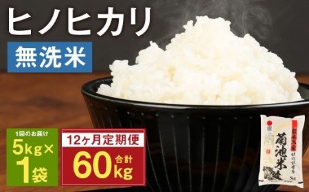 熊本県菊池産 ヒノヒカリ 無洗米 計60kg（5kg×12回）精米 お米 白米