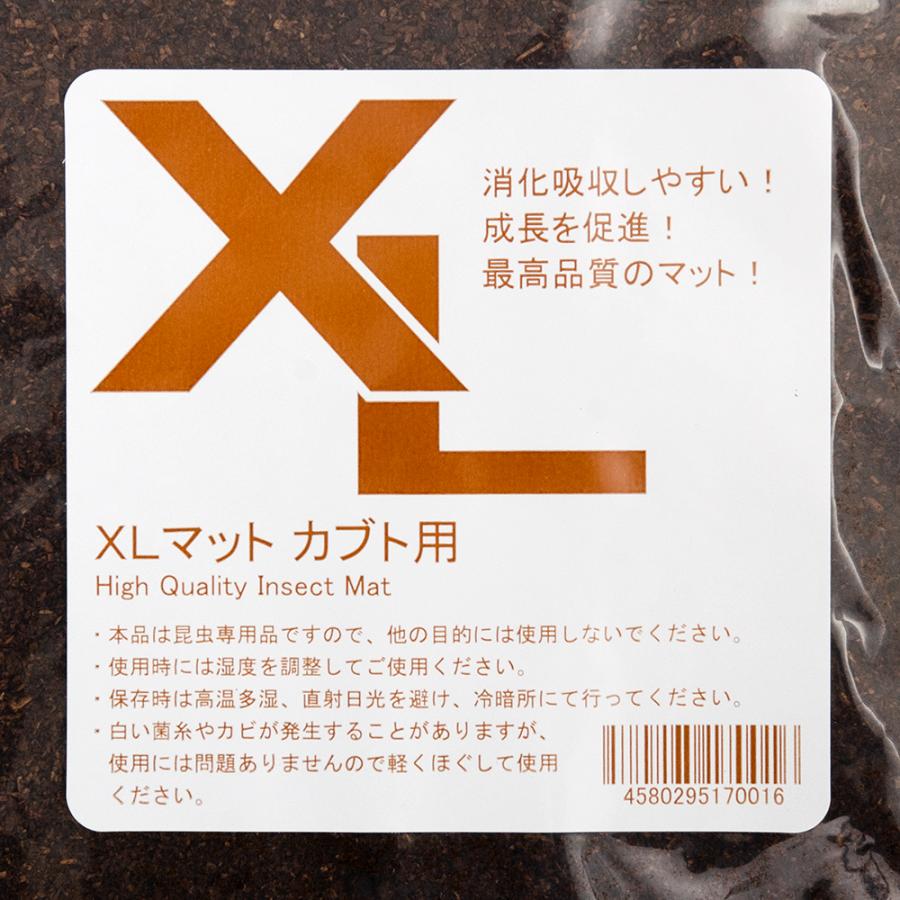 （昆虫）国産カブトムシ幼虫（３匹） ＋ ＸＬマット カブト用 １０