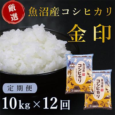 ふるさと納税 津南町 魚沼産コシヒカリ「金印」高食味米 10kg 全12回