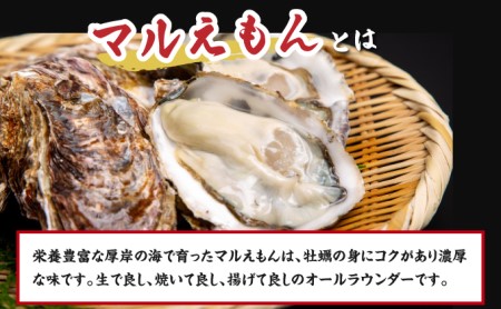 訳あり ハーフ 規格外 牡蠣 北海道厚岸産 殻付カキ 約2kg（11～25個）カキナイフ付 生食