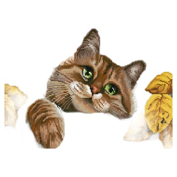 ArtLife 藝術生活 鑽石畫 秋日小貓 GJ778  40 x 50cm